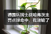 德国队瑞士战哈弗茨主罚点球命中，我赌输了800块钱