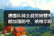 德国队瑞士战劳姆替布朗加强防守，纳格尔斯曼这步棋走对了吗？