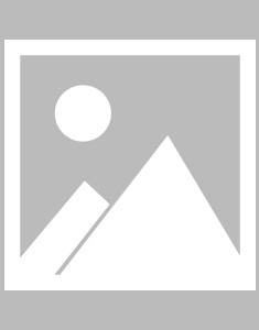 斯图加特球员杰米·勒沃林拒绝英超转会，德国足协主席赞扬斯图加特的“七星阵”