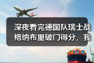 深夜看完德国队瑞士战格纳布里破门得分，我气得摔了遥控器