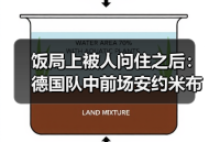 饭局上被人问住之后：德国队中前场安约米布兰德切尔奇入选
