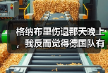 格纳布里伤退那天晚上，我反而觉得德国队有戏了