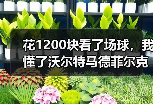 花1200块看了场球，我懂了沃尔特马德菲尔克鲁格未达顶级水准是什么意思