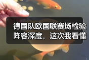 德国队欧国联赛场检验阵容深度，这次我看懂了