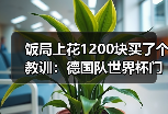 饭局上花1200块买了个教训：德国队世界杯门票已售罄球迷热情高涨