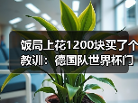 饭局上花1200块买了个教训：德国队世界杯门票已售罄球迷热情高涨