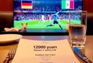 饭局上花1200块买了个教训：德国队小组赛次战科特迪瓦