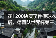 花1200块买了件假球衣后，德国队世界杯第三球衣绿色设计曝光了