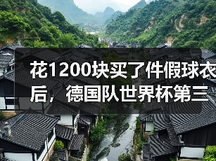 花1200块买了件假球衣后，德国队世界杯第三球衣绿色设计曝光了